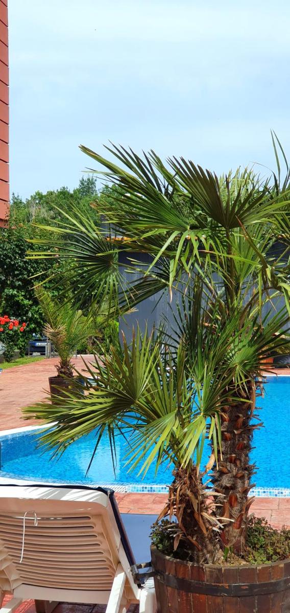 Apartament CACAO RESIDENCE - Housity