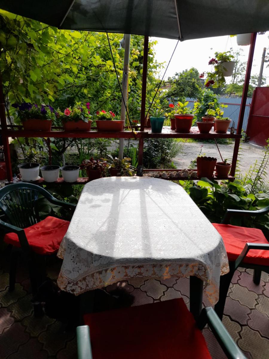 Casa Elena - Housity