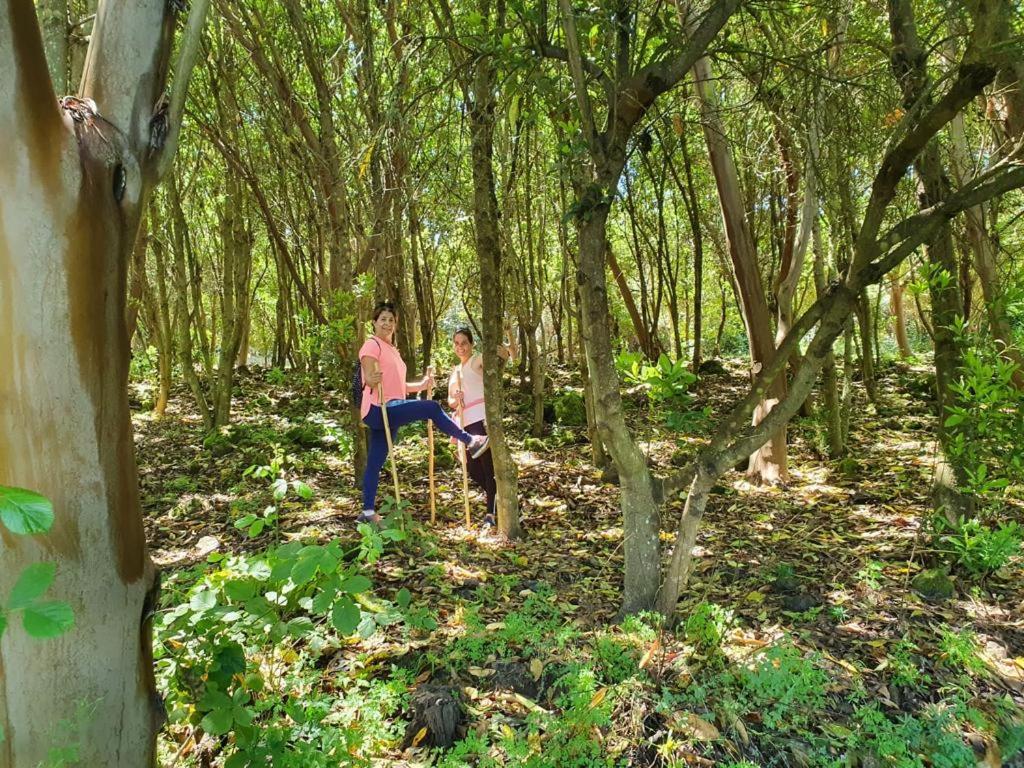 Suitetrails - Casa La Jara