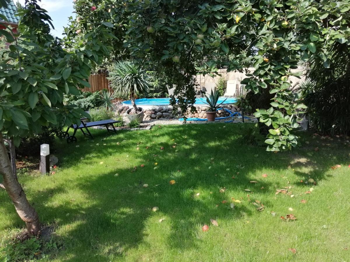 Ferienwohnung Lotti - Housity