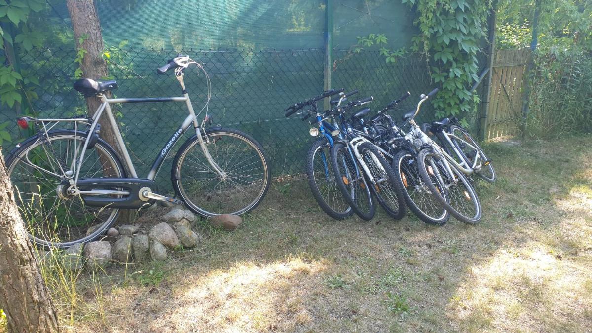 domki domek na jeziorem Wilczyńskim Budzisławskim , las, osobno ogrodzony 2-6 osób- klimatyzacja, ogrzewanie, 62-550 Zygmuntowo gm Wilczyn - Housity