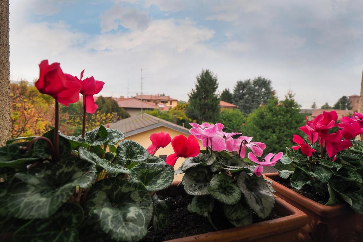 Le Residenze di San Lorenzo - Housity