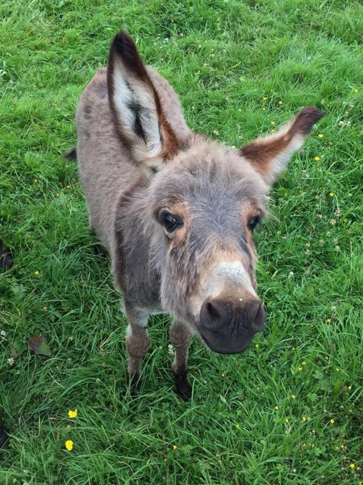 teach an ghleanna - Housity