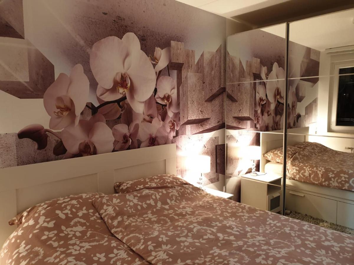 Apartman 33 FREE PRIVATE GARAGE - Housity