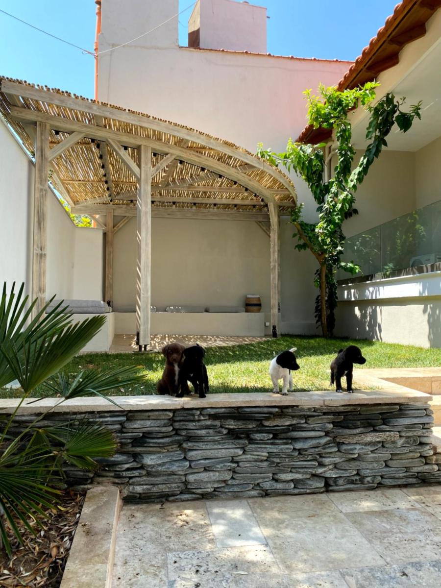 Casa Del Mar Thassos - Housity
