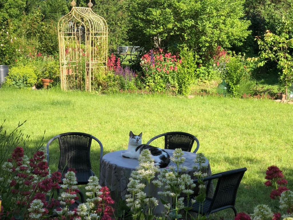 Appartement Ferienwohnung Landidyll - Lorenz - Housity