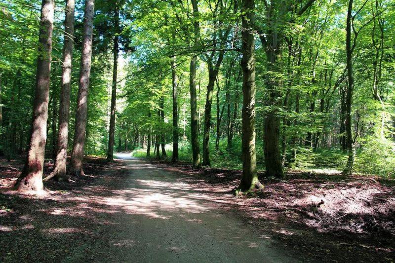 Suitetrails - Chalet 't Veluws stulpje 