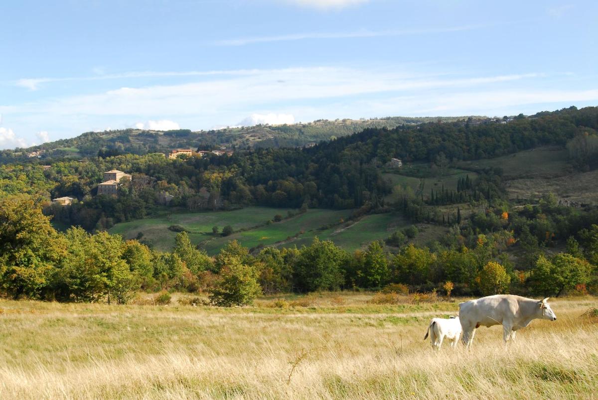 A stay surrounded by greenery - Agriturismo La Piaggia - app 2 bathrooms - Housity