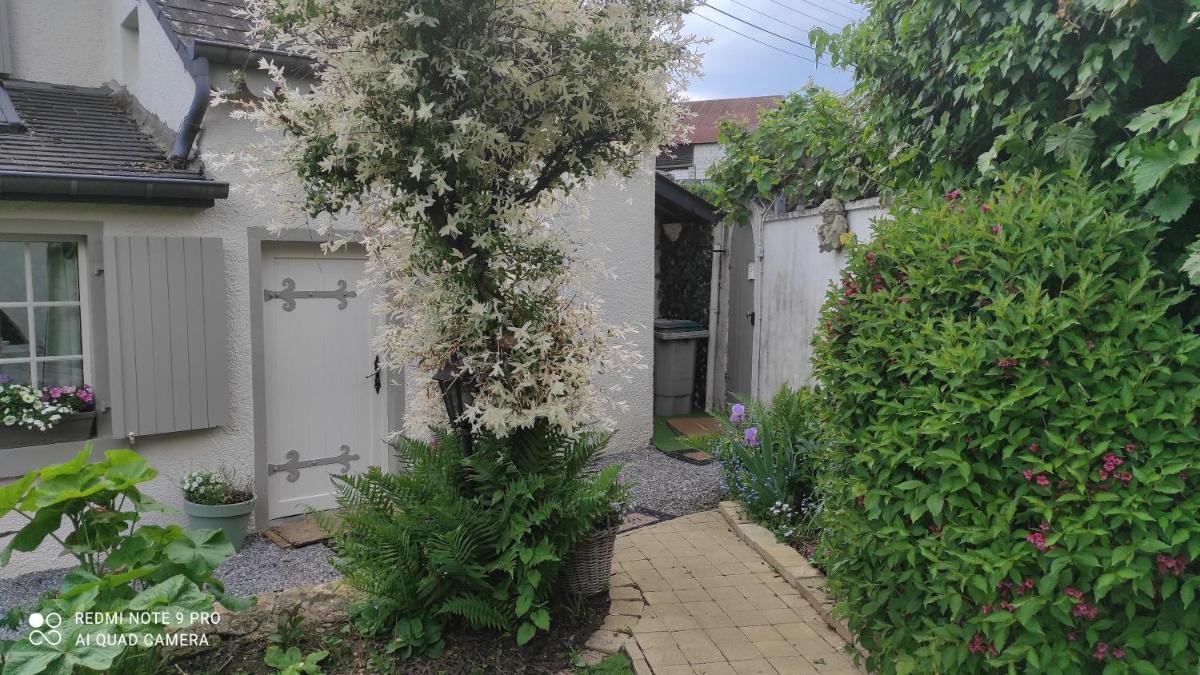 Le Memagne - Housity