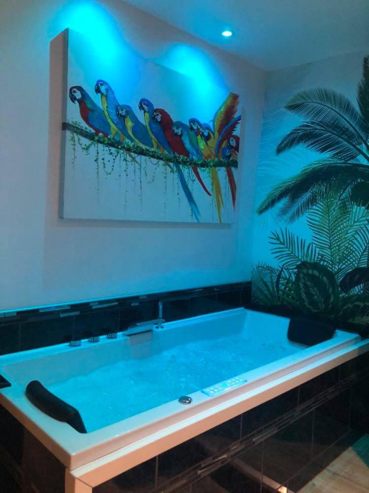 Appartement cosy avec baignoire balnéo - Housity