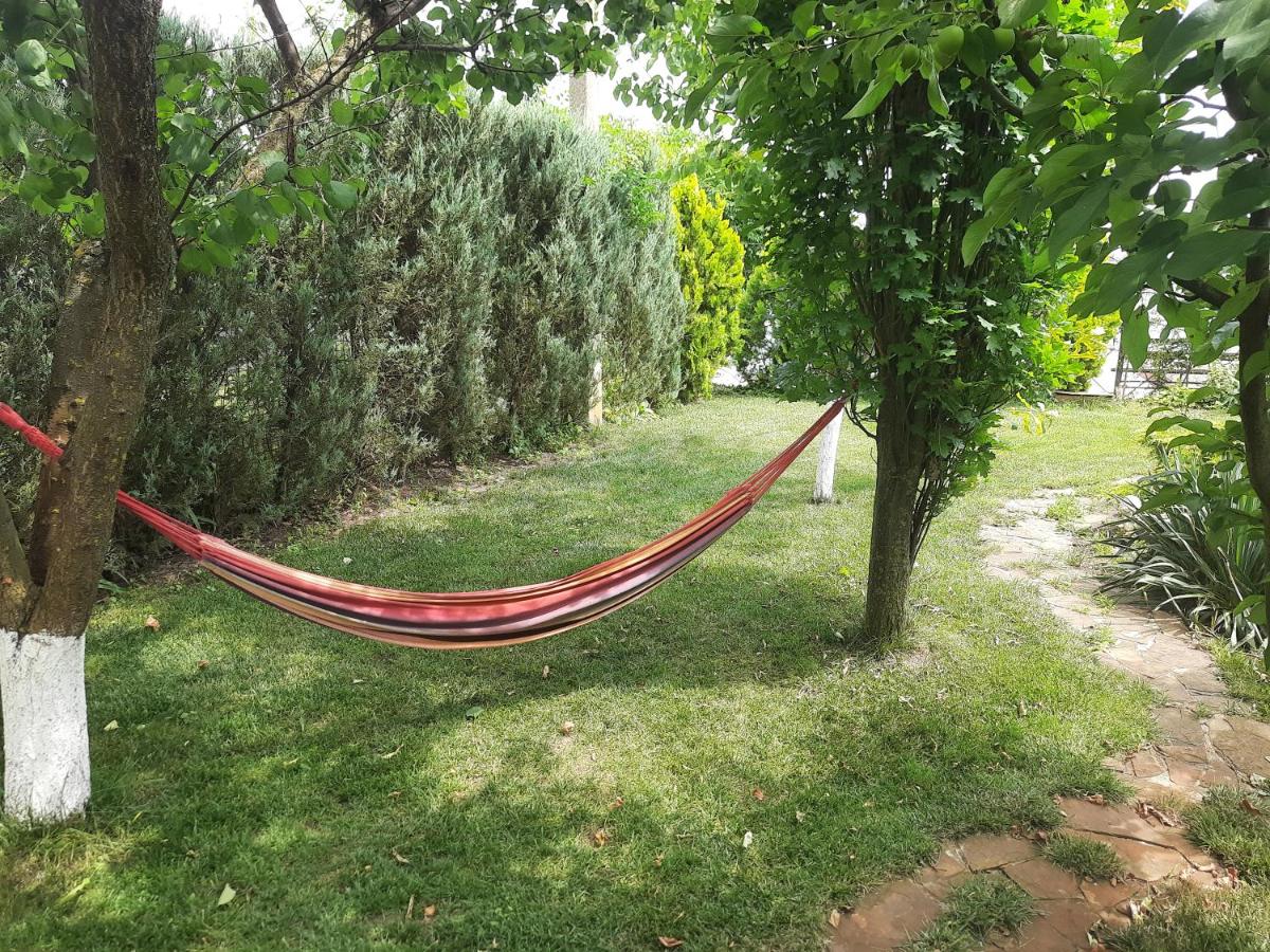 Dacha Na Dnipri - Housity