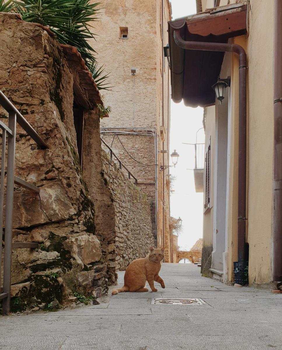 Le Sorelle - casa vacanze - Housity