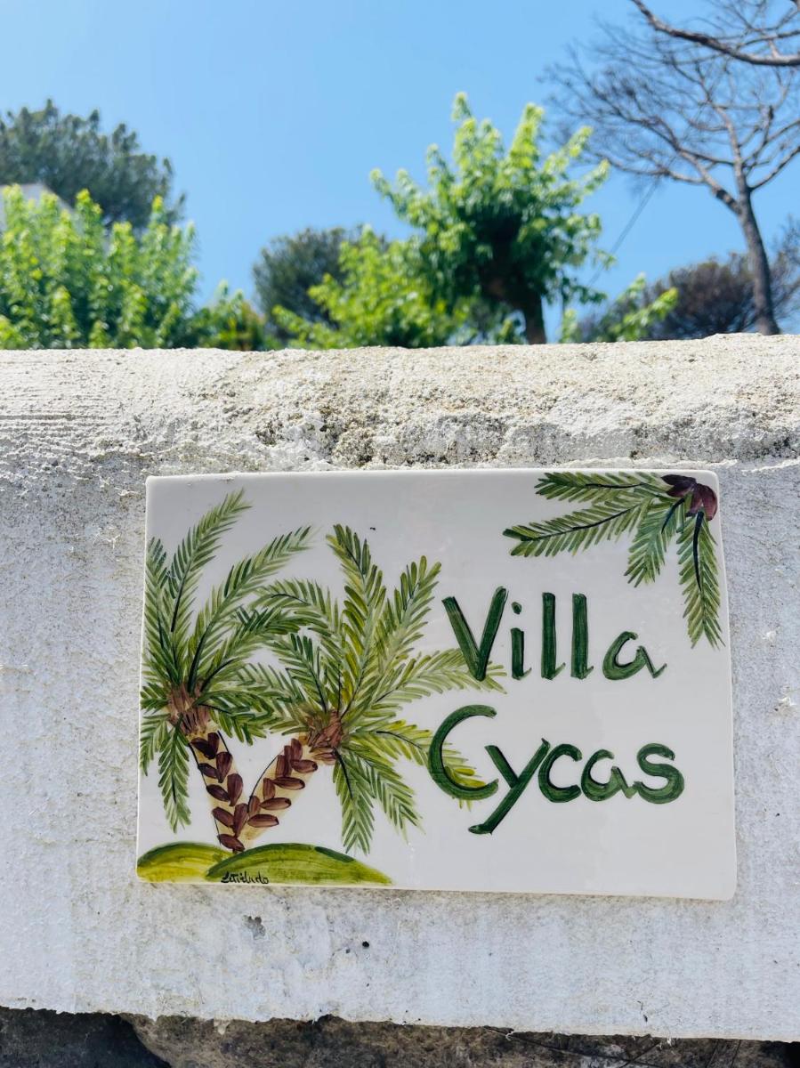Villa Cycas - Housity