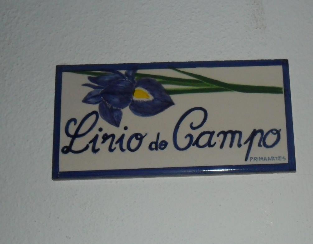 Apartamentos Bau-Doce - Housity