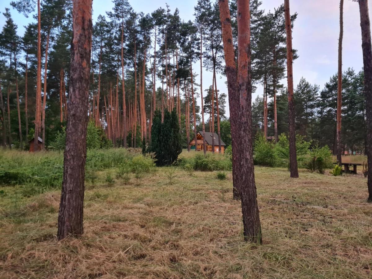 Pod Czarnym Dzięciołem - dom z widokiem i prywatną balią - Housity