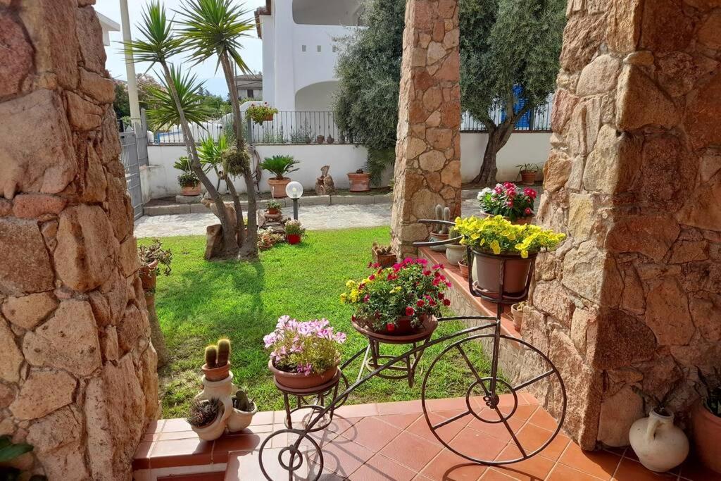 Dolce casa spiaggia&relax - Housity
