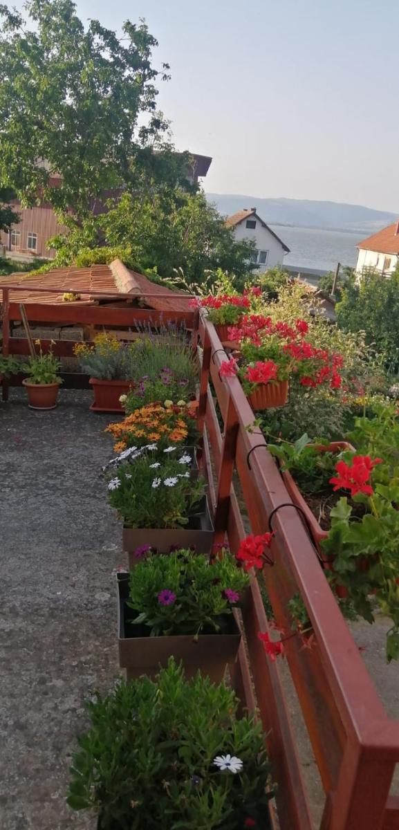 Apartmani Ilić - Housity