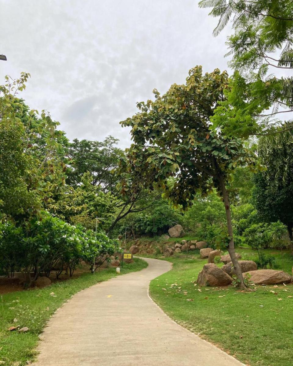 a winding path in a park with trees and rocks at Hyatt Hyderabad Gachibowli in Hyderabad