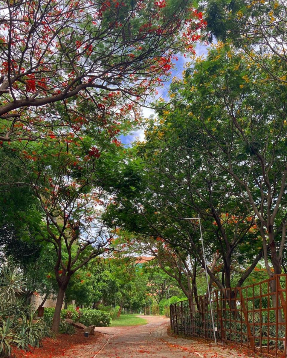 a gate in a park with trees and a dirt road at Hyatt Hyderabad Gachibowli in Hyderabad