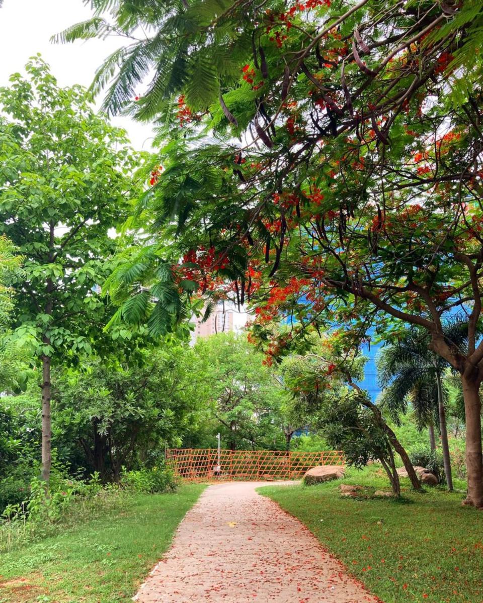 a dirt road in a park with trees at Hyatt Hyderabad Gachibowli in Hyderabad