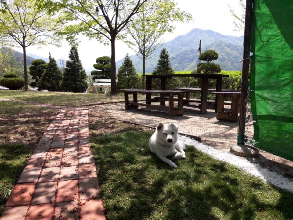 Chamjoeun Pension - Housity