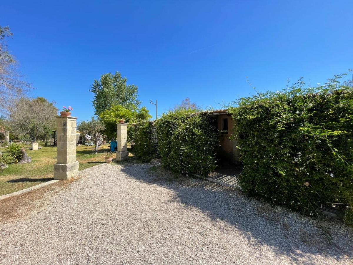 La Petrusa - Housity