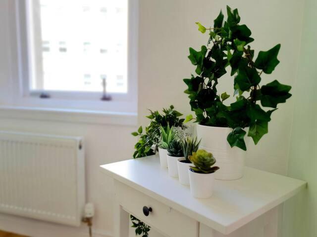 Cosy Flat, West End, Close to SEC, Hydro & Tourist Attractions - Housity