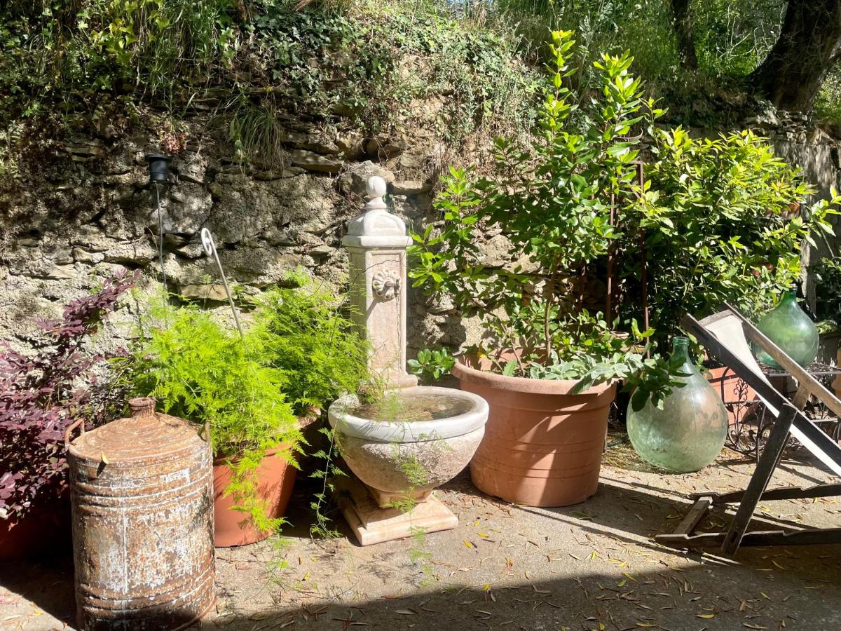 Ca' dei Merli - charming Italian village house - Housity