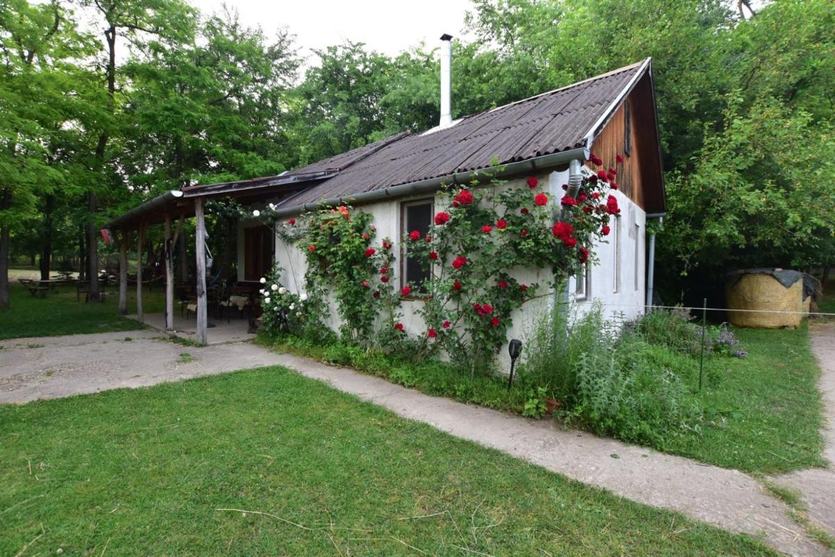 Igricz Farmház - Housity