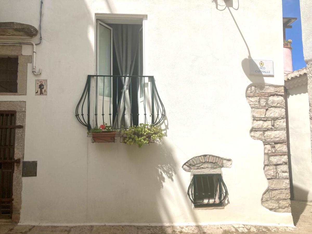 La Casa Di Noah - Housity