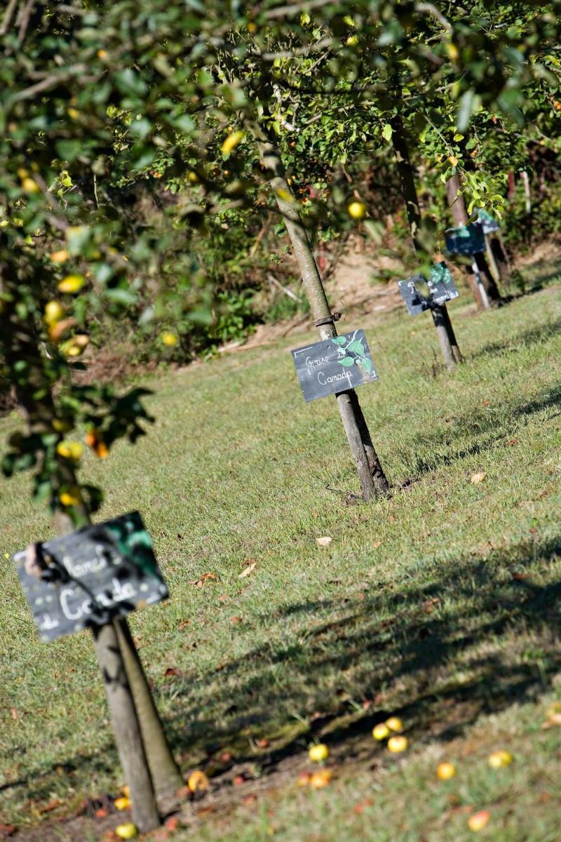 Jardin de l'établissement Relais de la Poste