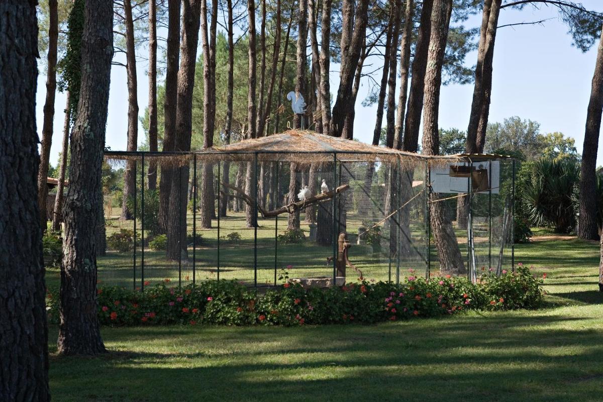 Jardin de l'établissement Relais de la Poste