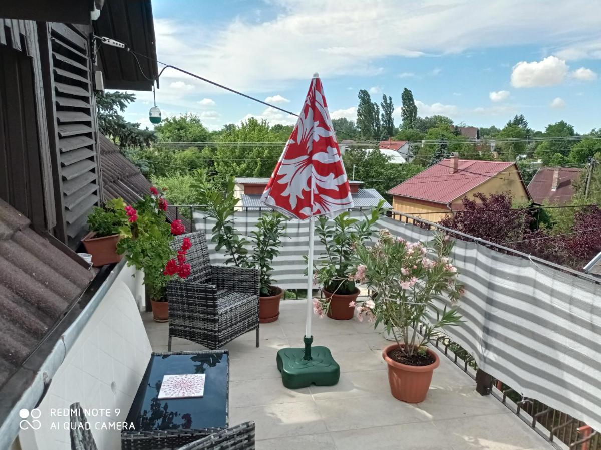 Tőserdő - Housity