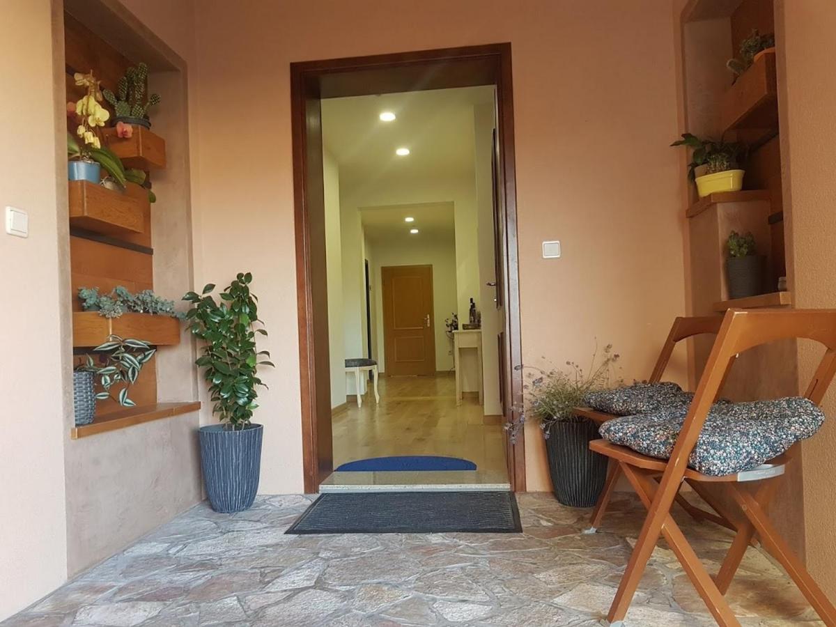 Magnolija - Housity