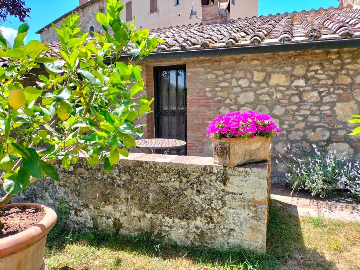 B&B Palazzo a Merse - Housity