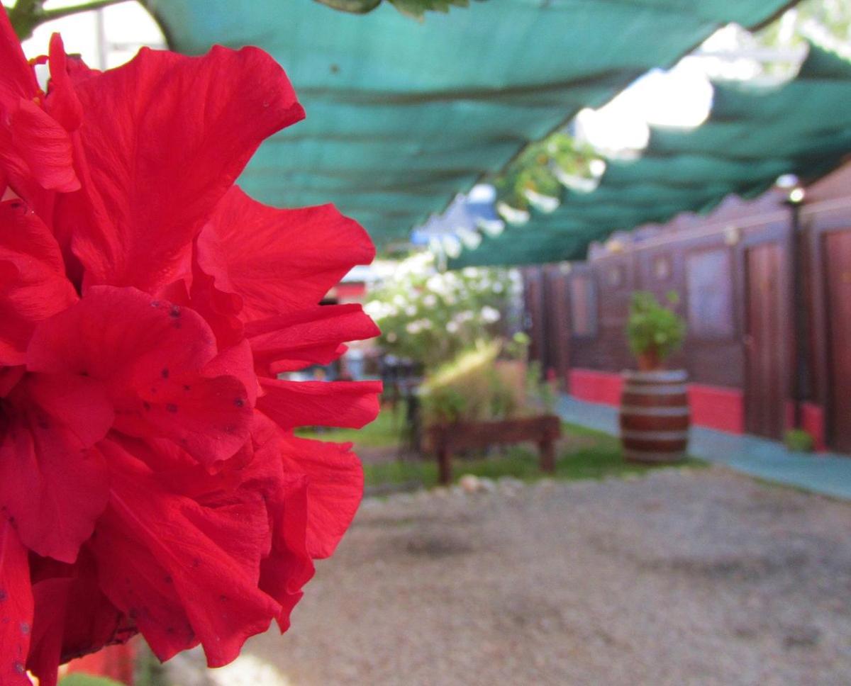 Hostal del Suri - Housity