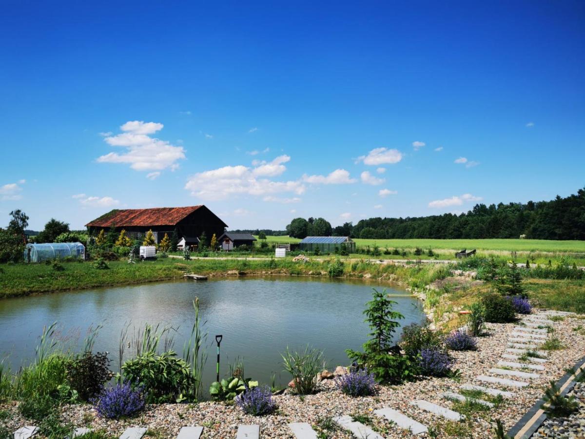 Domek letniskowy - Housity