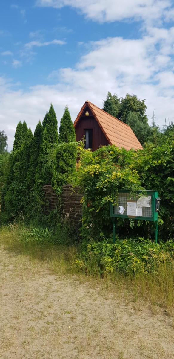 SOWA nad jeziorem Wojnówko gm Murowana Goślina - Housity