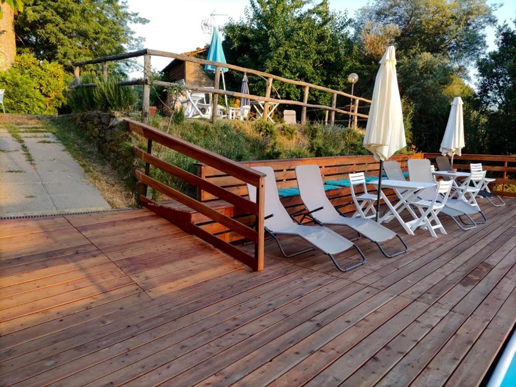 Le Mimose B&B - Housity