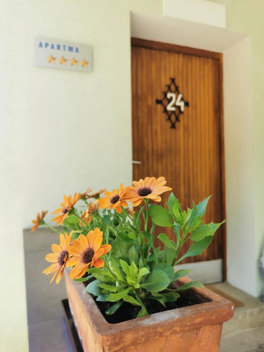Apartma Rekar - a house, where you can relax in the embrace of nature - Housity
