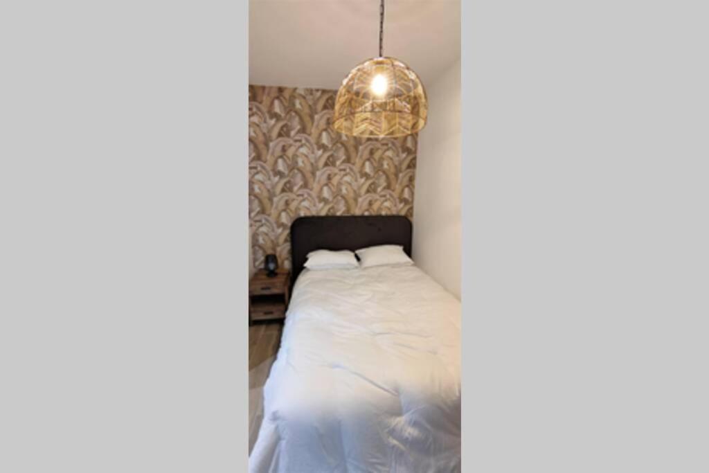 Appartement T2 Centre-ville Entièrement rénové - Housity
