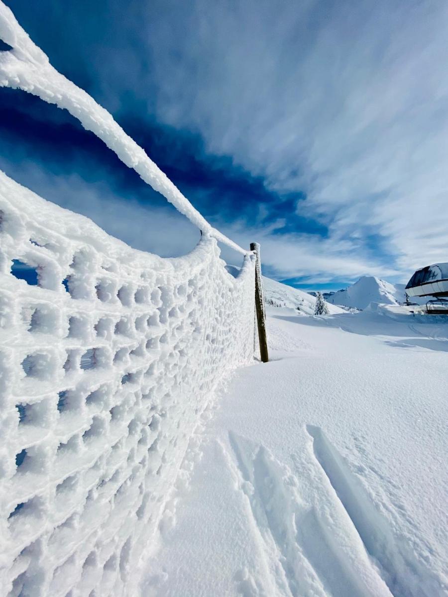 L'établissement Hotel Alpina en hiver