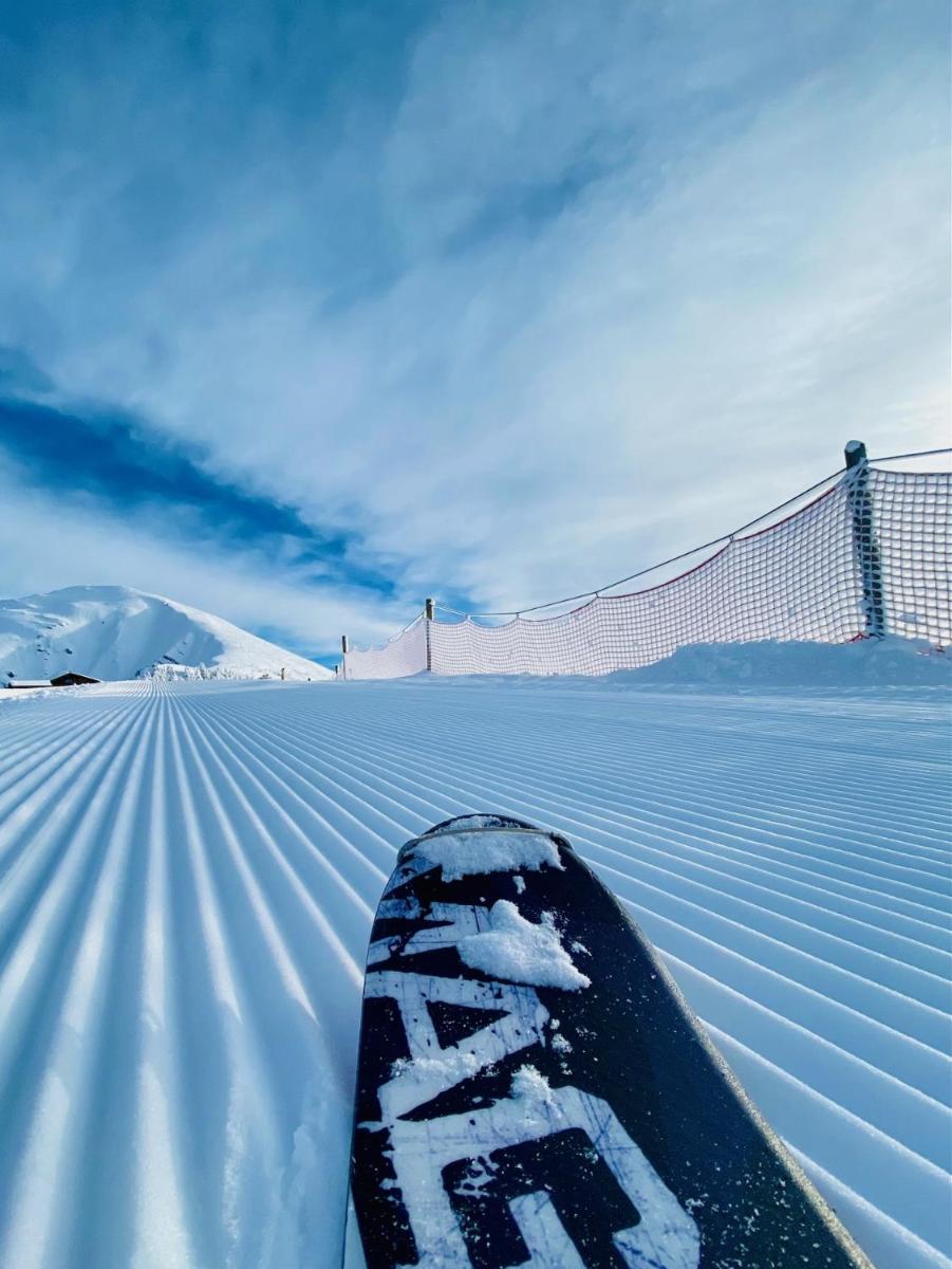 L'établissement Hotel Alpina en hiver