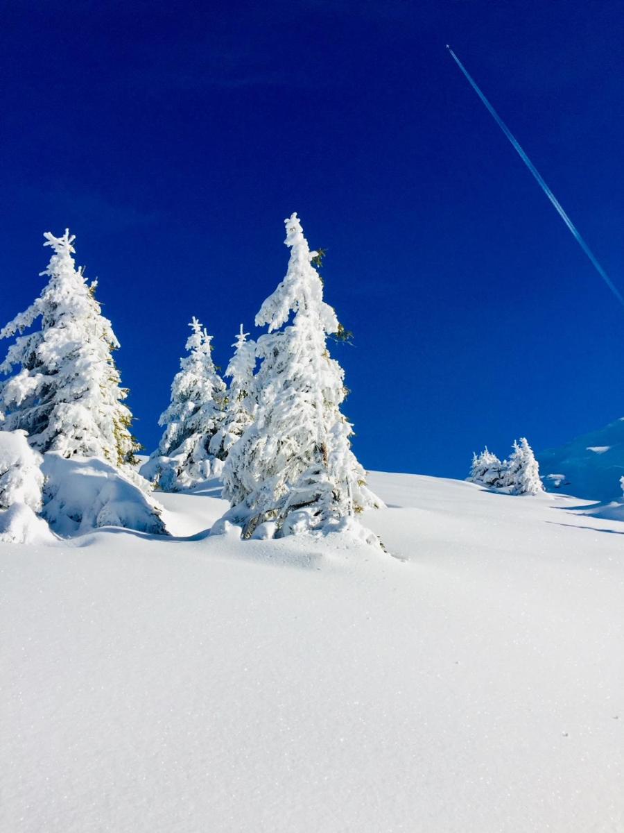 L'établissement Hotel Alpina en hiver