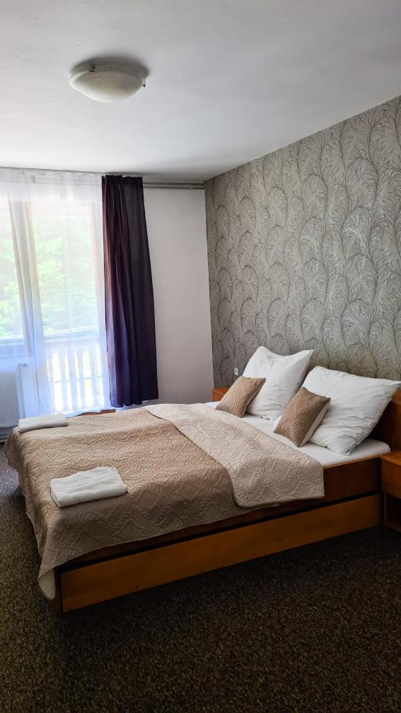 Horský hotel Eva - Housity