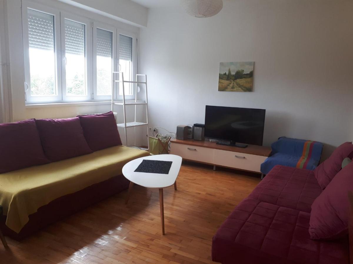 ViVa Apartment - Housity