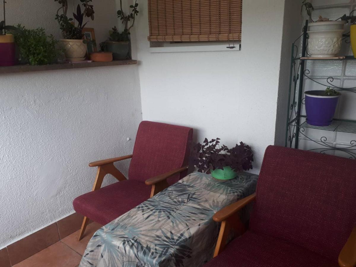 ViVa Apartment - Housity