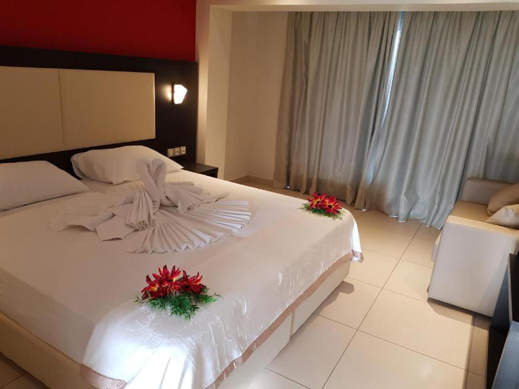 La caretta - Housity