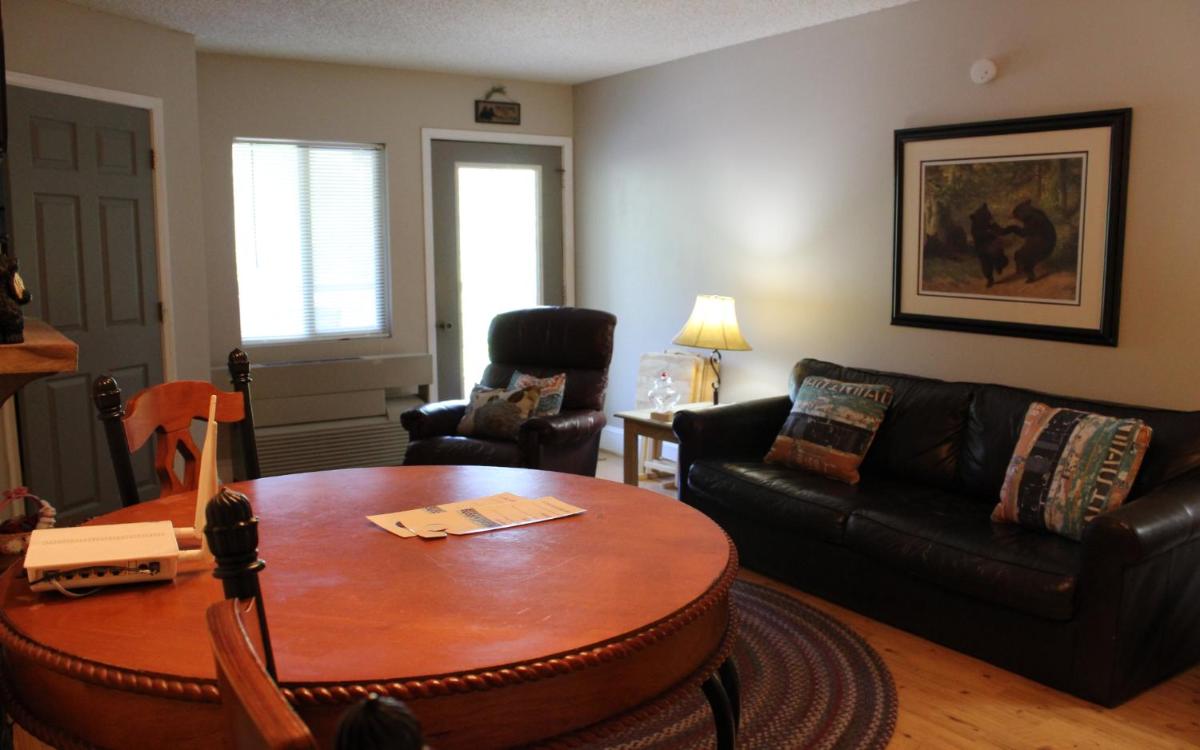 Gatlinburg Chateau Condo 210 - Housity
