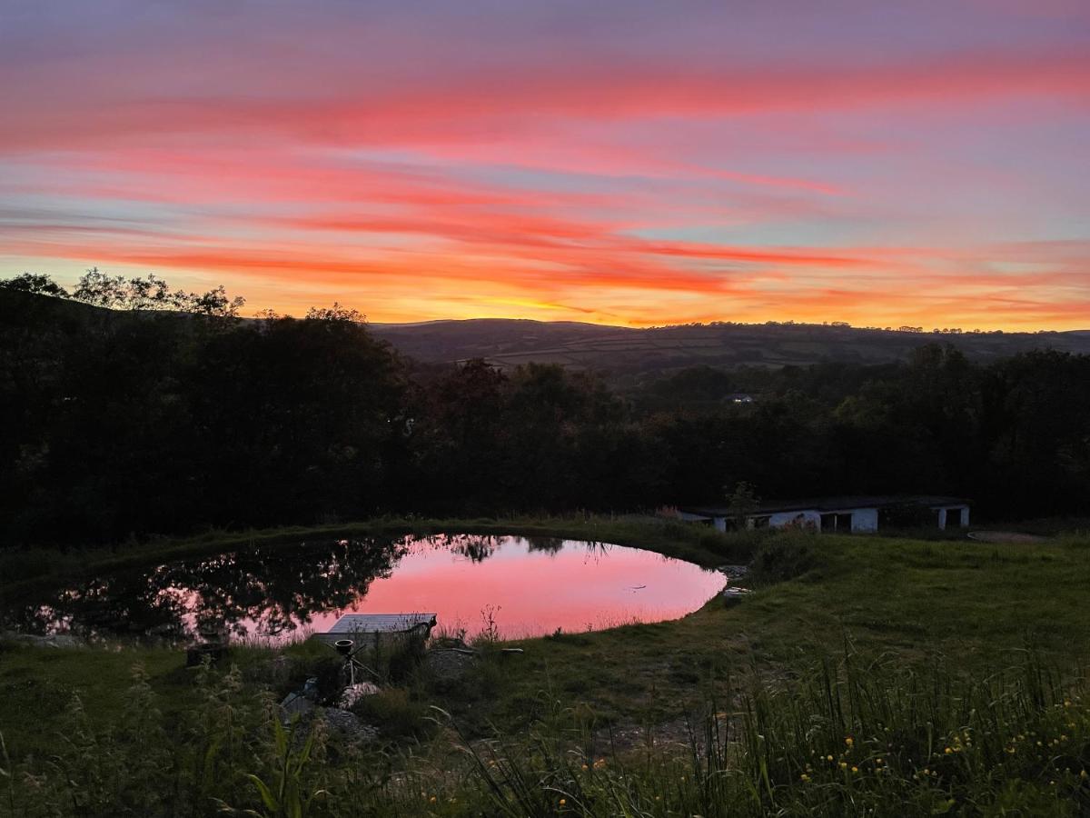 Stags View,Unique eco cabin, Dartmoor views - Housity